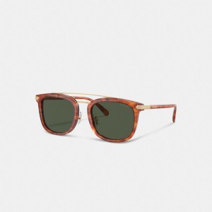 Coach Wrap Around Hangtag Browbar Sunglasses Kahverengi | COH867070