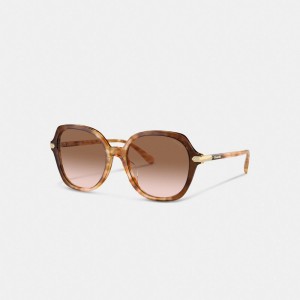 Coach Wrap Around Hangtag Oversized Geometric Round Sunglasses Turuncu | COH866341