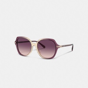 Coach Wrap Around Hangtag Oversized Geometric Round Sunglasses Mor Bej Rengi | COH866373