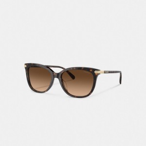 Coach Wrap Around Hangtag Square Sunglasses Kahverengi | COH866396